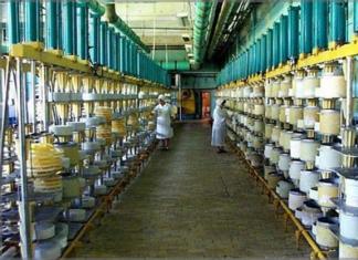 A sajtgyártás szervezése (a kemény sajt példáján) ígéretes és folyamatosan fejlődő vállalkozás